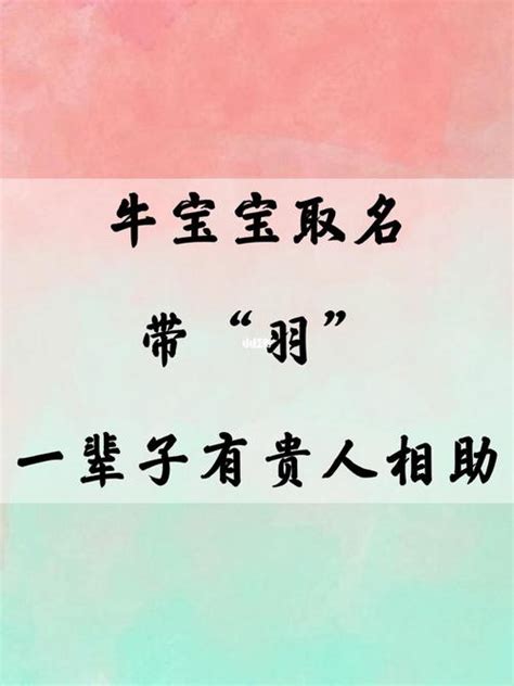 羽的名字|带羽字好听的名字大全